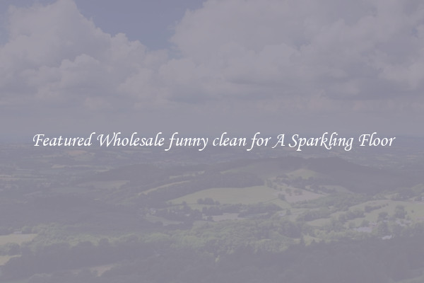 Featured Wholesale funny clean for A Sparkling Floor