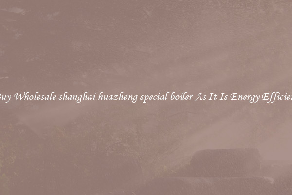 Buy Wholesale shanghai huazheng special boiler As It Is Energy Efficient