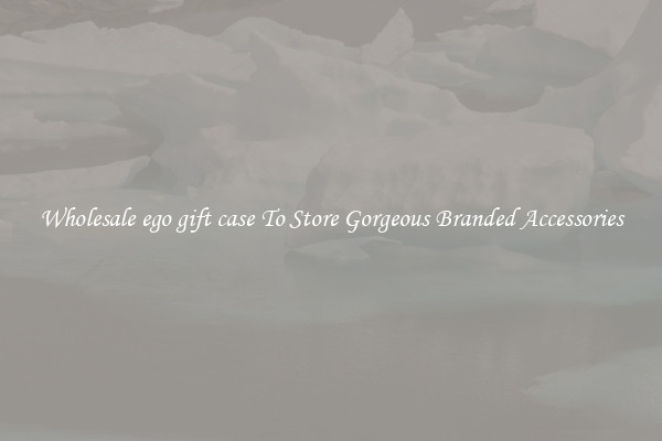 Wholesale ego gift case To Store Gorgeous Branded Accessories