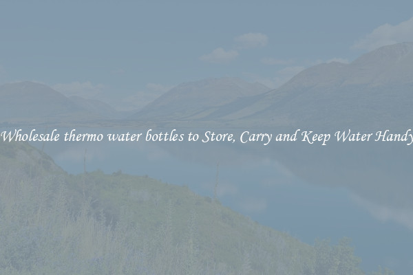 Wholesale thermo water bottles to Store, Carry and Keep Water Handy