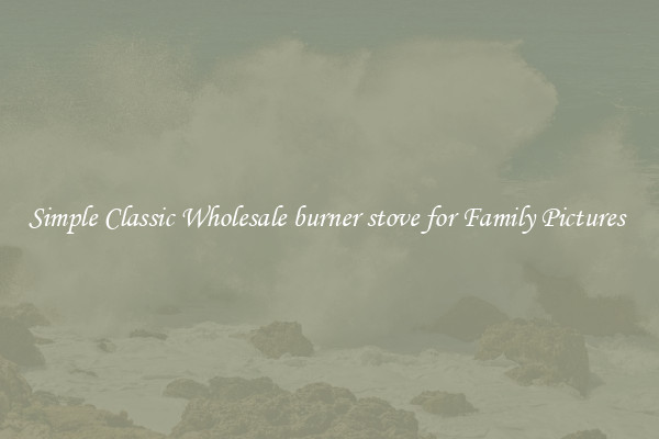 Simple Classic Wholesale burner stove for Family Pictures 
