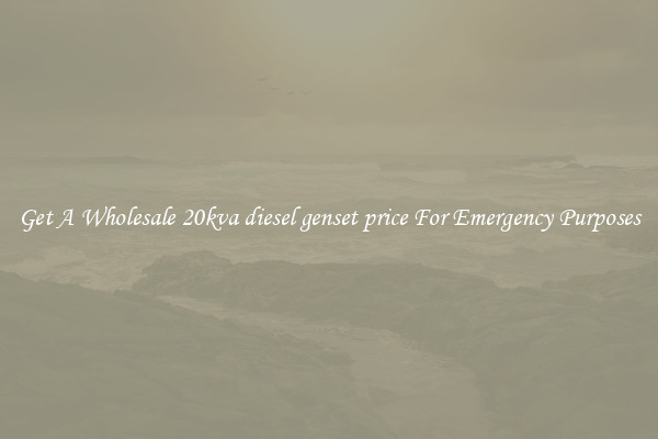 Get A Wholesale 20kva diesel genset price For Emergency Purposes
