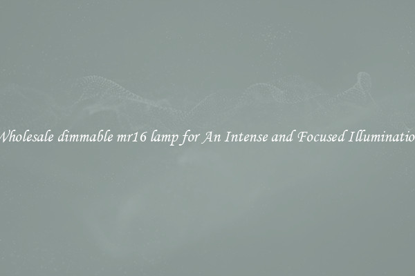 Wholesale dimmable mr16 lamp for An Intense and Focused Illumination