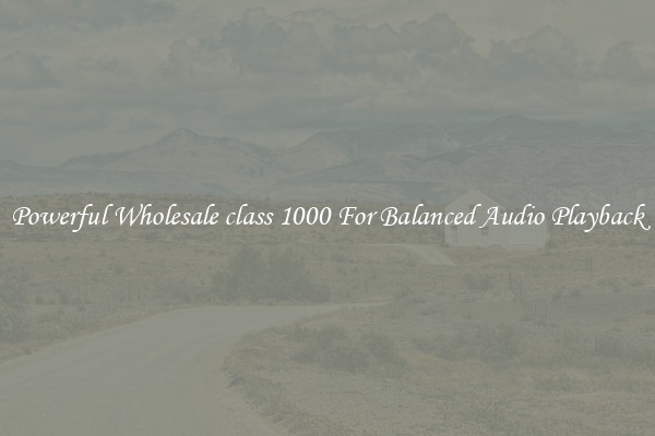 Powerful Wholesale class 1000 For Balanced Audio Playback