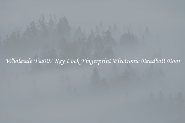 Wholesale Tsa007 Key Lock Fingerprint Electronic Deadbolt Door