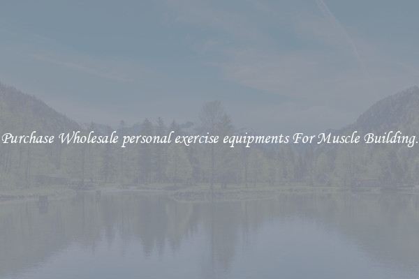Purchase Wholesale personal exercise equipments For Muscle Building.