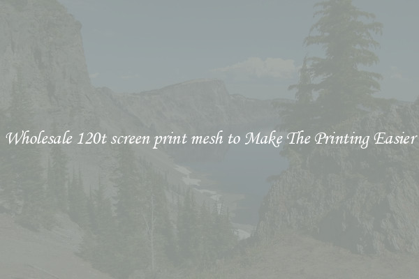 Wholesale 120t screen print mesh to Make The Printing Easier