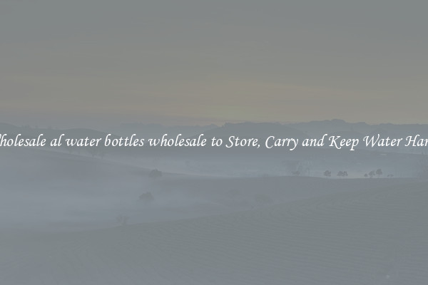 Wholesale al water bottles wholesale to Store, Carry and Keep Water Handy