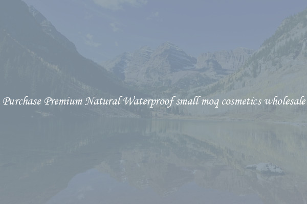 Purchase Premium Natural Waterproof small moq cosmetics wholesale