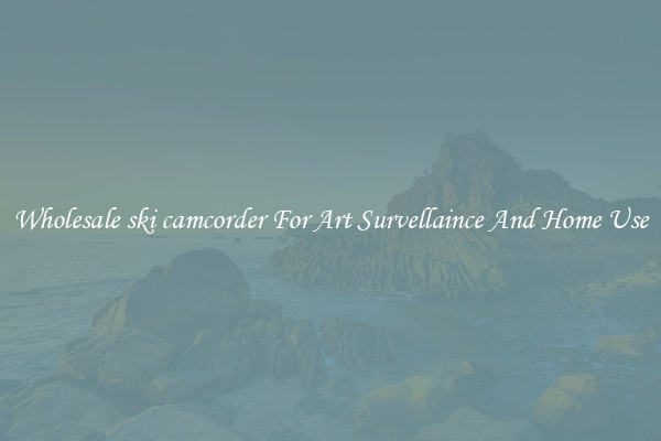 Wholesale ski camcorder For Art Survellaince And Home Use
