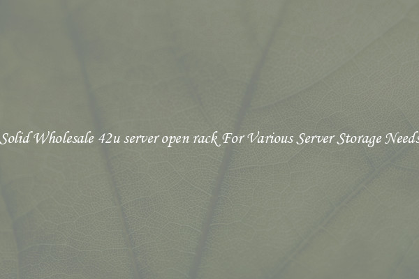 Solid Wholesale 42u server open rack For Various Server Storage Needs