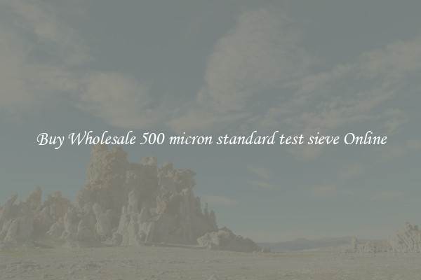 Buy Wholesale 500 micron standard test sieve Online