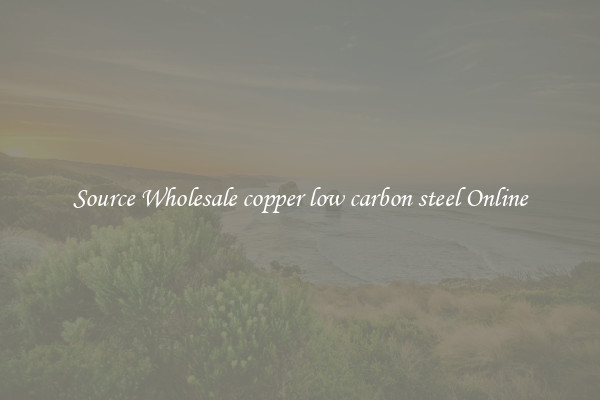 Source Wholesale copper low carbon steel Online