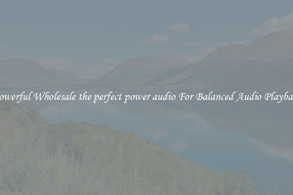 Powerful Wholesale the perfect power audio For Balanced Audio Playback