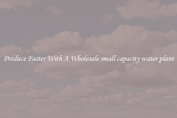 Produce Faster With A Wholesale small capacity water plant