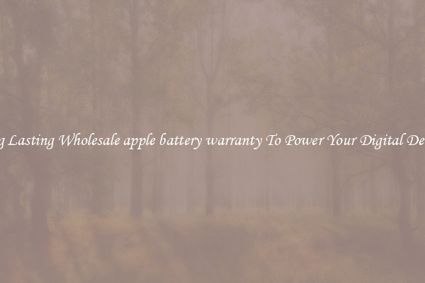 Long Lasting Wholesale apple battery warranty To Power Your Digital Devices