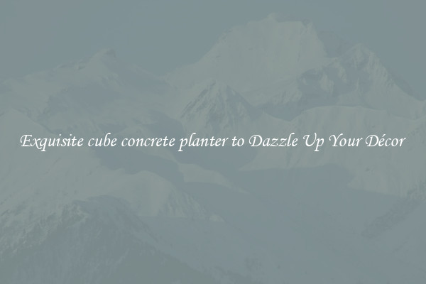 Exquisite cube concrete planter to Dazzle Up Your Décor 
