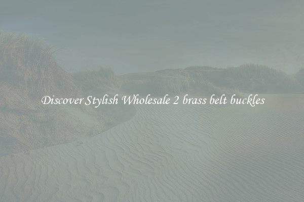 Discover Stylish Wholesale 2 brass belt buckles