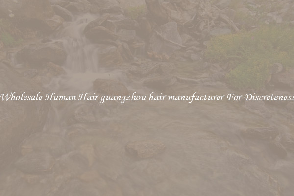 Wholesale Human Hair guangzhou hair manufacturer For Discreteness