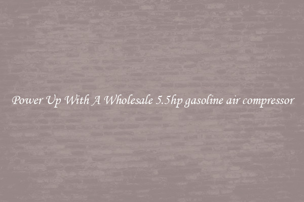Power Up With A Wholesale 5.5hp gasoline air compressor
